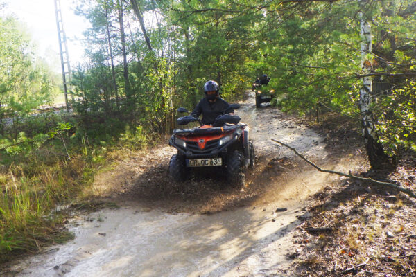 Quad in einem Wald