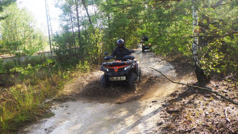 Quad in einem Wald