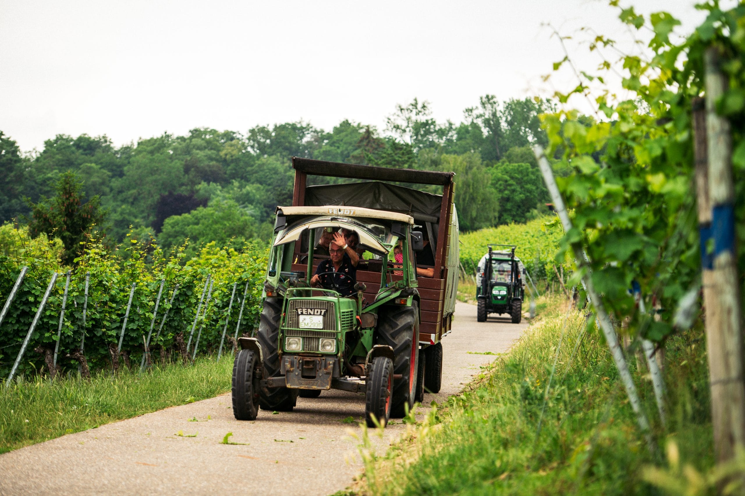 Weinberg-Express fährt durch die Weinberge von Stuttgart